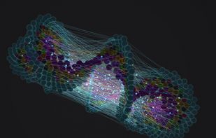 Neural Graph - Explore your memory
