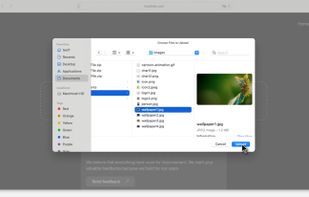 choose your jpg file