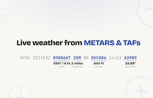 Students practice interpreting METAR and TAF information from dynamically generated scenarios, just as the real DPE will expect on checkride day.