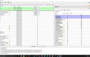 Mod Organizer 2 screenshot 2