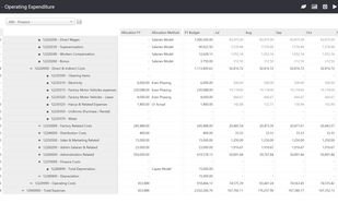 Opex Expenditure Annual Planning