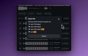 Audjust screenshot 3