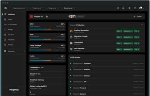 The project dashboard provides an overview of service states, resource usage, and CI/CD workflows for dev teams.
