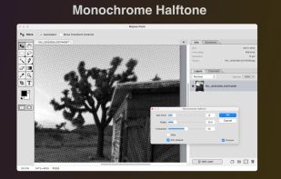 Mojave Paint screenshot 3