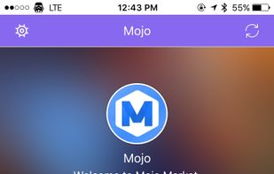 Mojo Installer Application