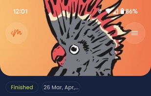 Promote your festivals brand