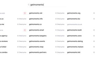 Momento Domains screenshot 2