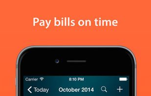 Money Pro screenshot 2