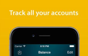 Money Pro screenshot 1