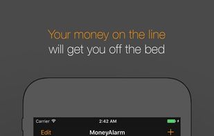 MoneyAlarm screenshot 2