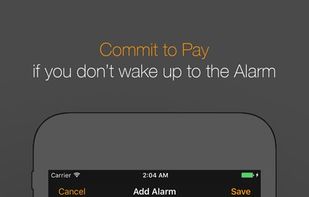 MoneyAlarm screenshot 1