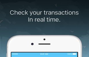 MoneyMailMe screenshot 2