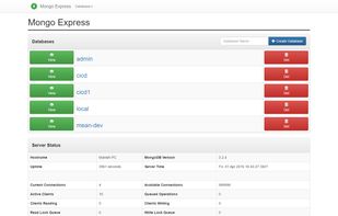 mongo-express screenshot 1