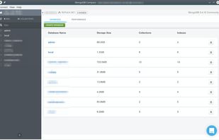 MongoDB Compass screenshot 2