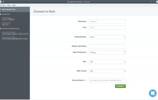 MongoDB Compass screenshot 1
