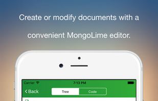 MongoLime screenshot 3