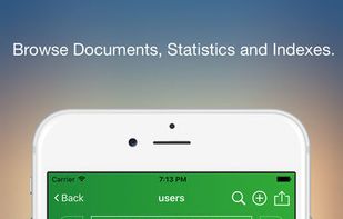 MongoLime screenshot 2