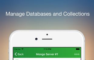 MongoLime screenshot 1