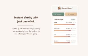 MonkeyBlock screenshot 3