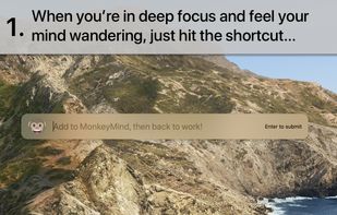 MonkeyMind screenshot 1