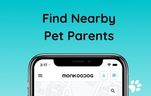 Monkoodog screenshot 3