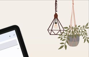 monoca 2 - Collection Manager screenshot 2