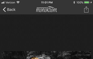 Monokrom screenshot 2