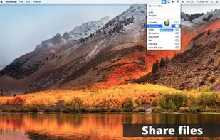 Monosnap screenshot 3