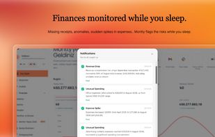 Your finances are monitored while you sleep. Montty flags missing receipts, numbers that don't hold, risky anomalies and more before they get expensive. 