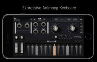 Moog Model 15 screenshot 2