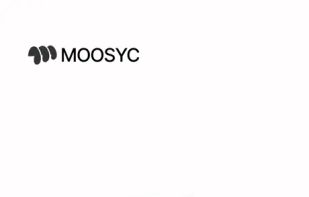 MOOSYC screenshot 3