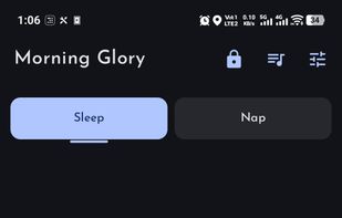 Morning Glory screenshot 1