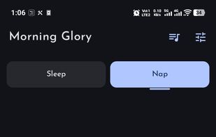 Morning Glory screenshot 1