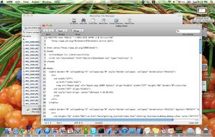 Moroshka screenshot 2
