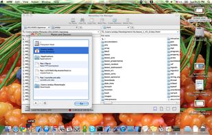 Moroshka screenshot 3