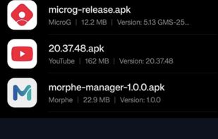 Morphe screenshot 2