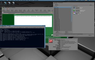 MorphOS screenshot 2