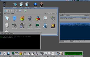 MorphOS screenshot 3