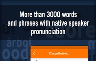 MosaLingua screenshot 3