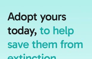 Weekly goals and challenges keep your fitness goals on track