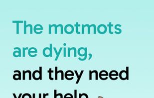 Emotionally invest in your digital fitness pet, to keep yourself consistent and active