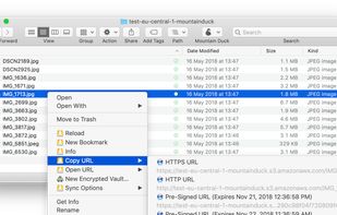 Mountain Duck screenshot 3