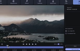 Movavi Video Converter screenshot 3