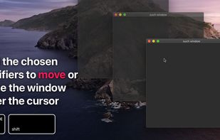 Moves for macOS screenshot 1
