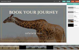 Full video editor — animated text, layered media, effects, and soundtracks on a multi-scene timeline.