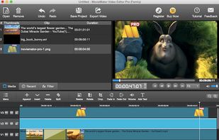 Mac video editor