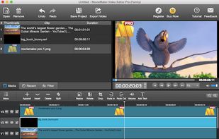Mac video editor