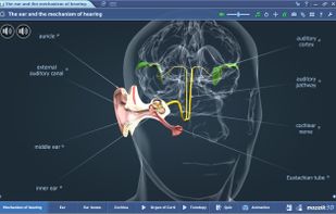 View interactive 3Ds