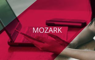 MOZARK screenshot 1