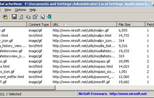 MozillaCacheView screenshot 1